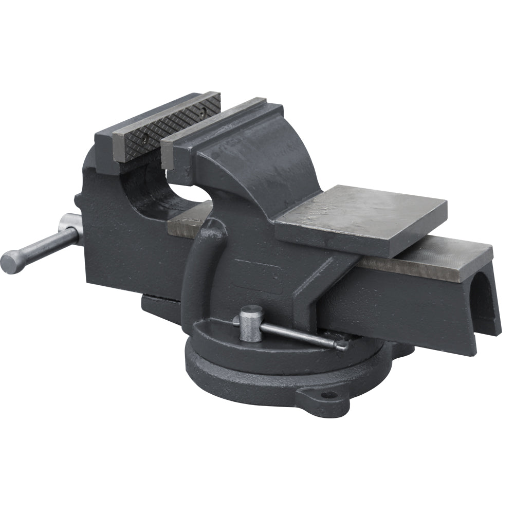 HPS-125 Bench Vise